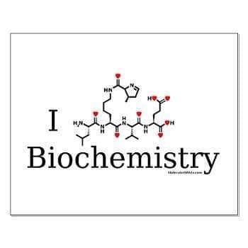 حمده الهاشمي- biochemistry | د. يوسف أبو الفتوح